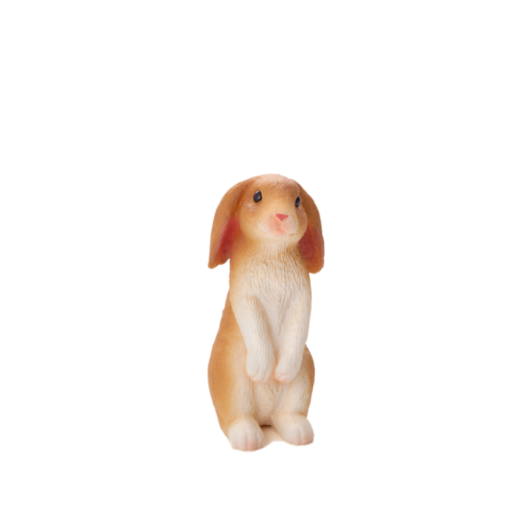 خرگوش نشسته موجو  Rabbit Sitting 387141